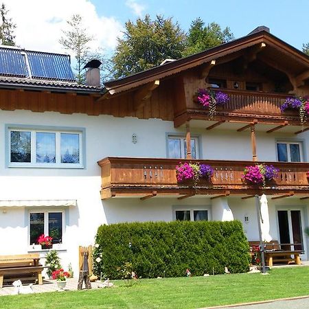 Appartement Claudia Going am Wilden Kaiser Cameră foto